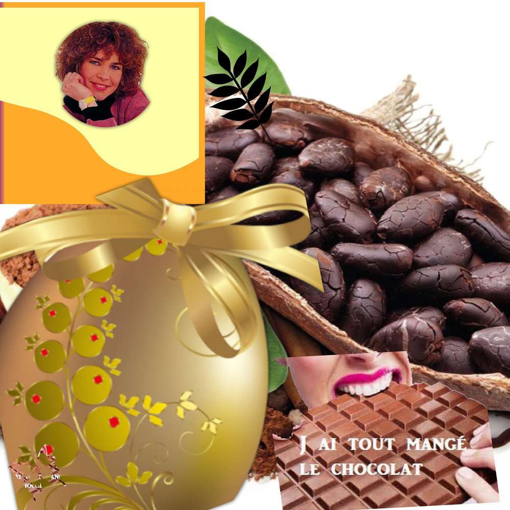 J_AI_MANGER_TOUT_LES_CHOCOLATS