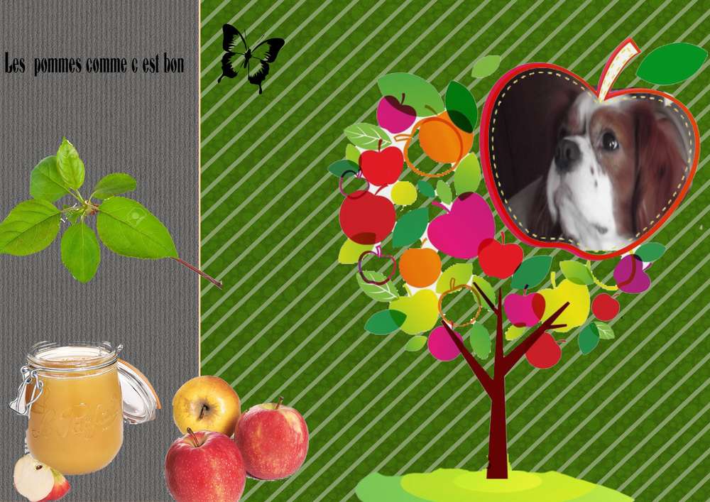 j_aime_les_pommes