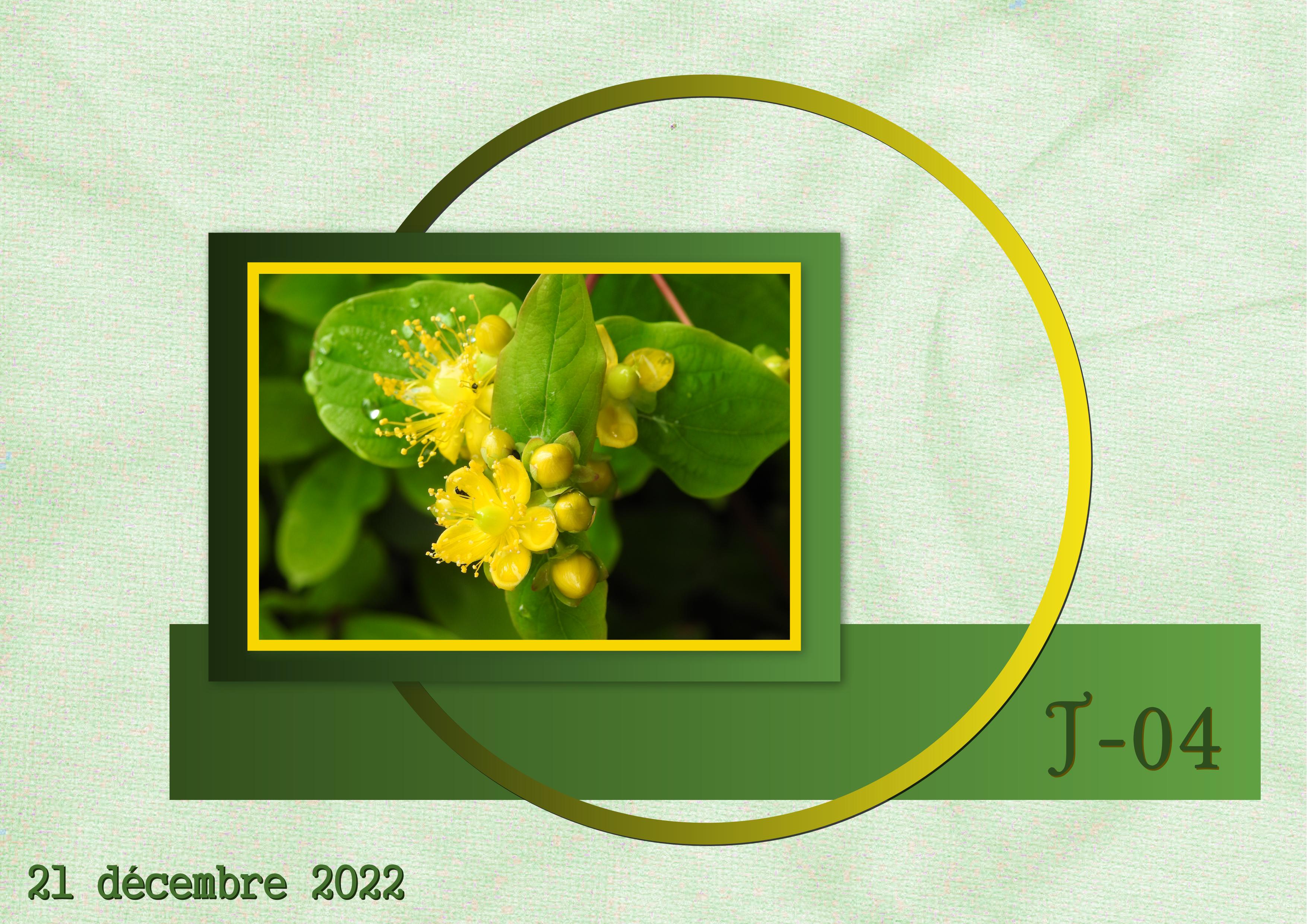 J_N32 - AVENT-04.jpg