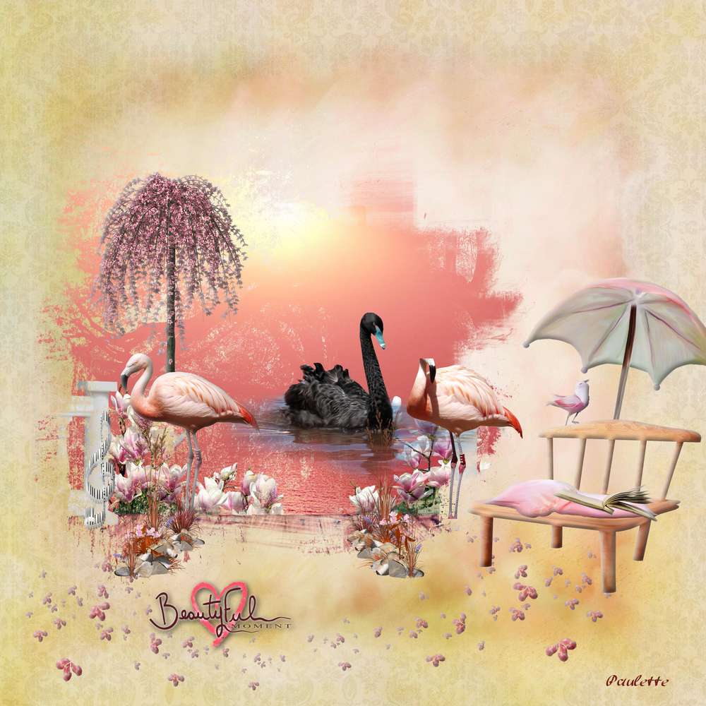 jacqueline c'est ton jour