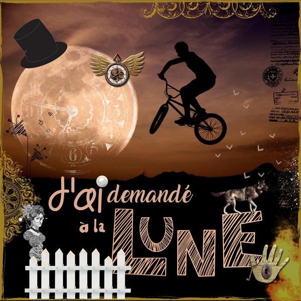 J'ai demandé à la lune