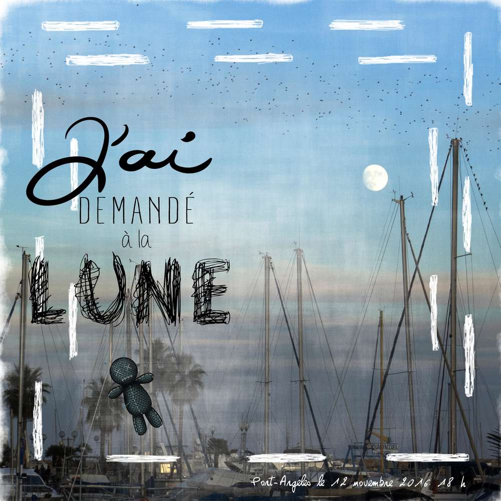 j'ai demandé a la lune....