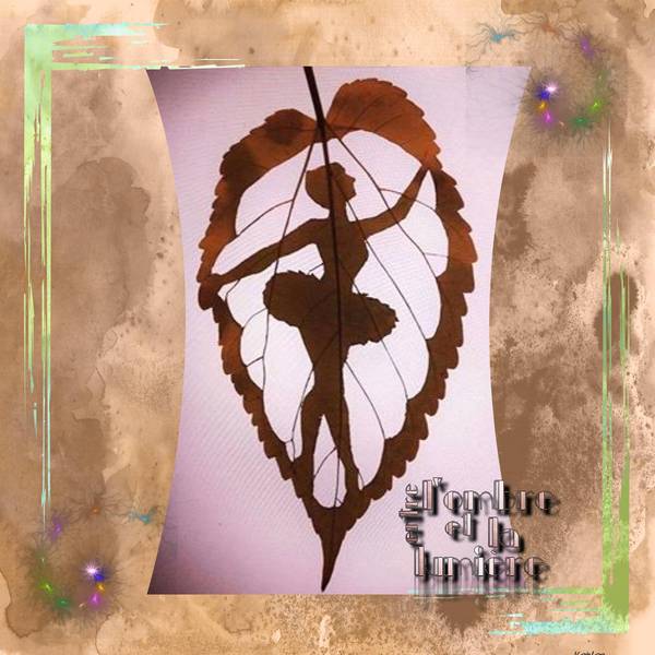 J'ai souhaité partager avec vous  :)