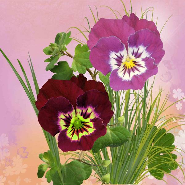 J'ai une pensée pour Max