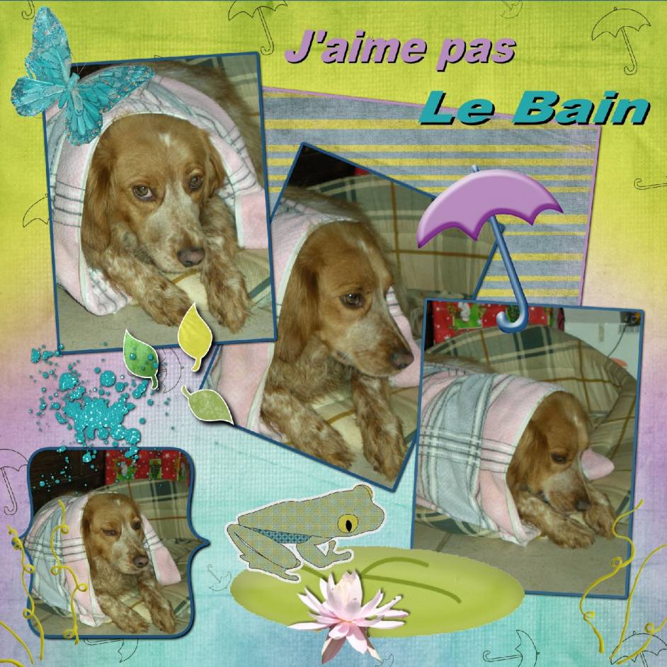 J'aime pas le bain