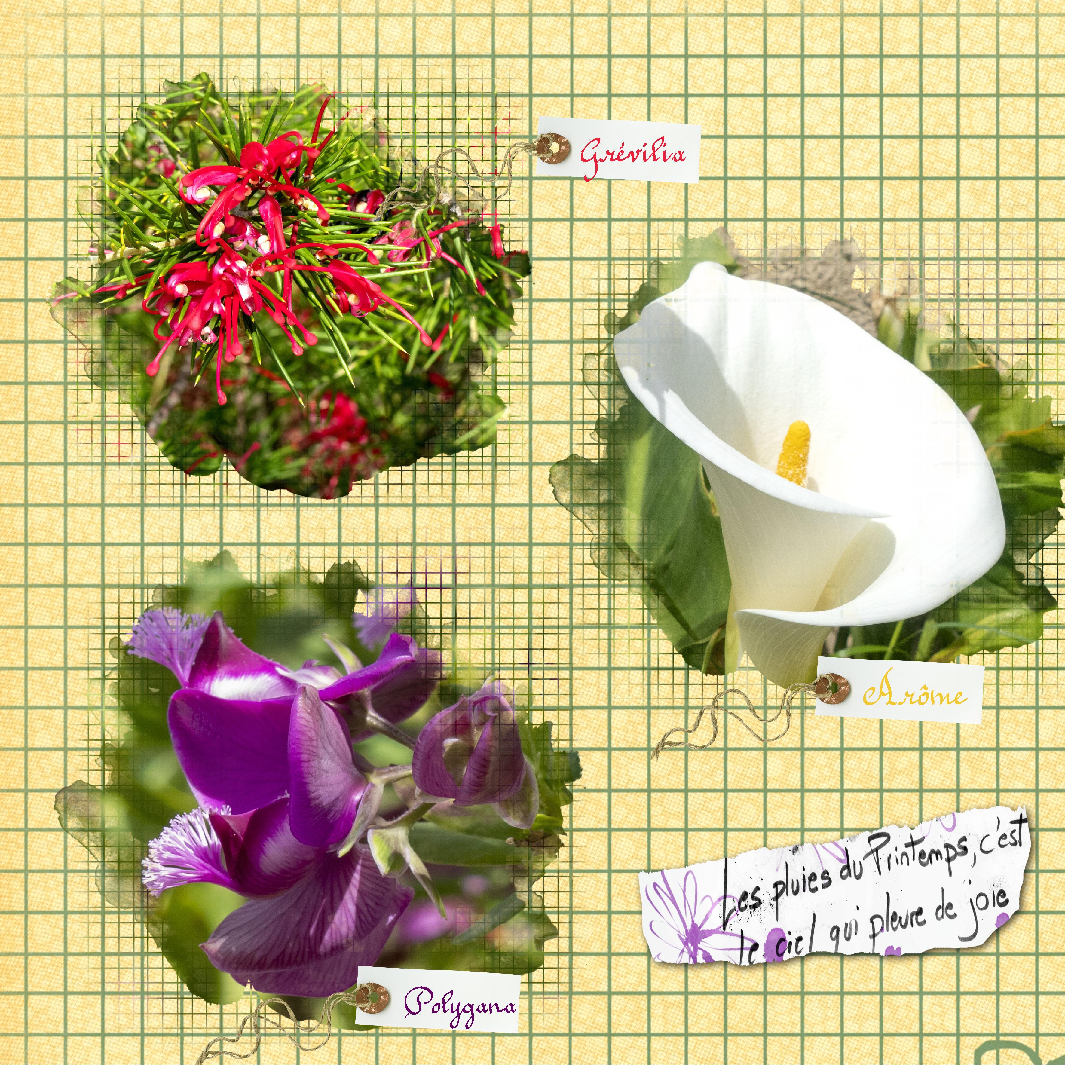 jardin-23 avril  (page 1).jpg