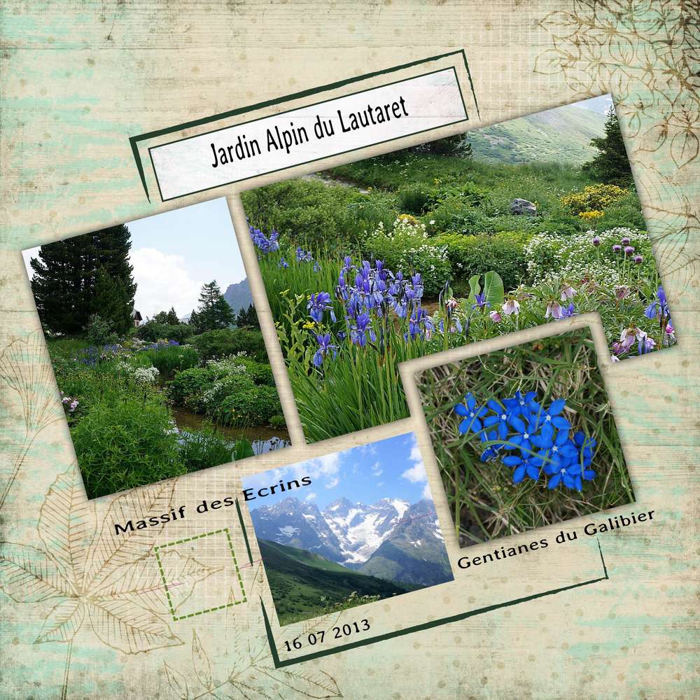 Jardin Alpin  du Lautaret