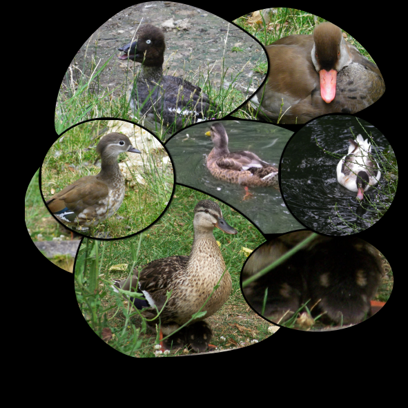 jardin Botanique - Tours