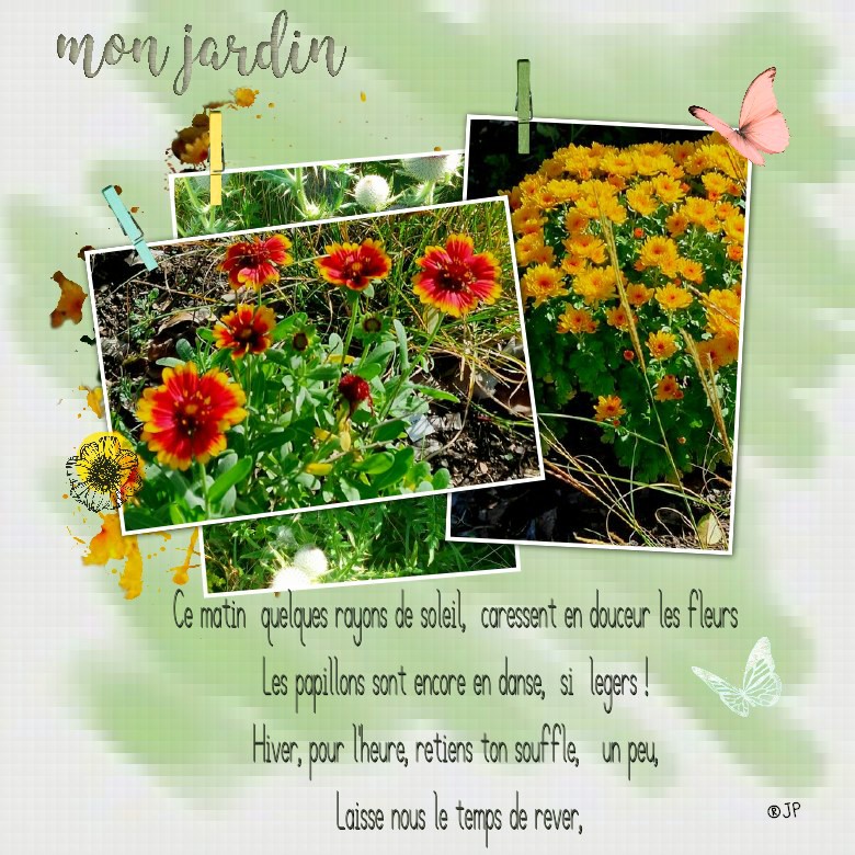 jardin ce matin fleurs.jpg
