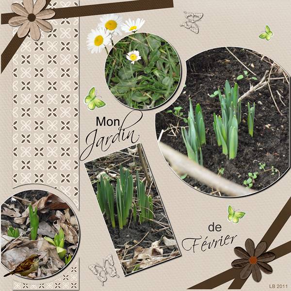 Jardin de février