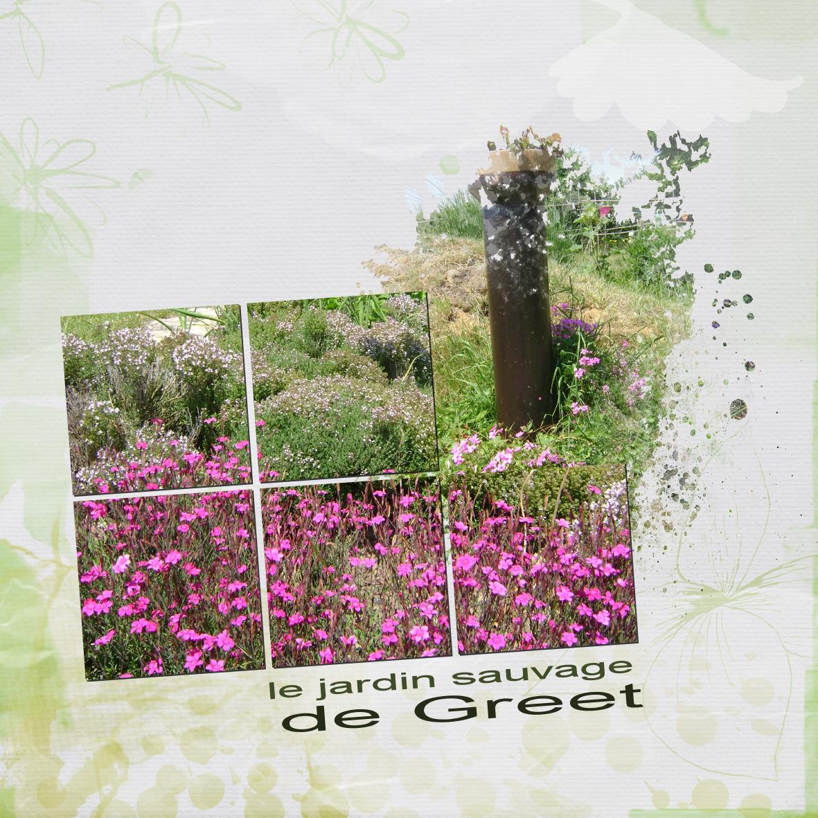 jardin de greet.jpg