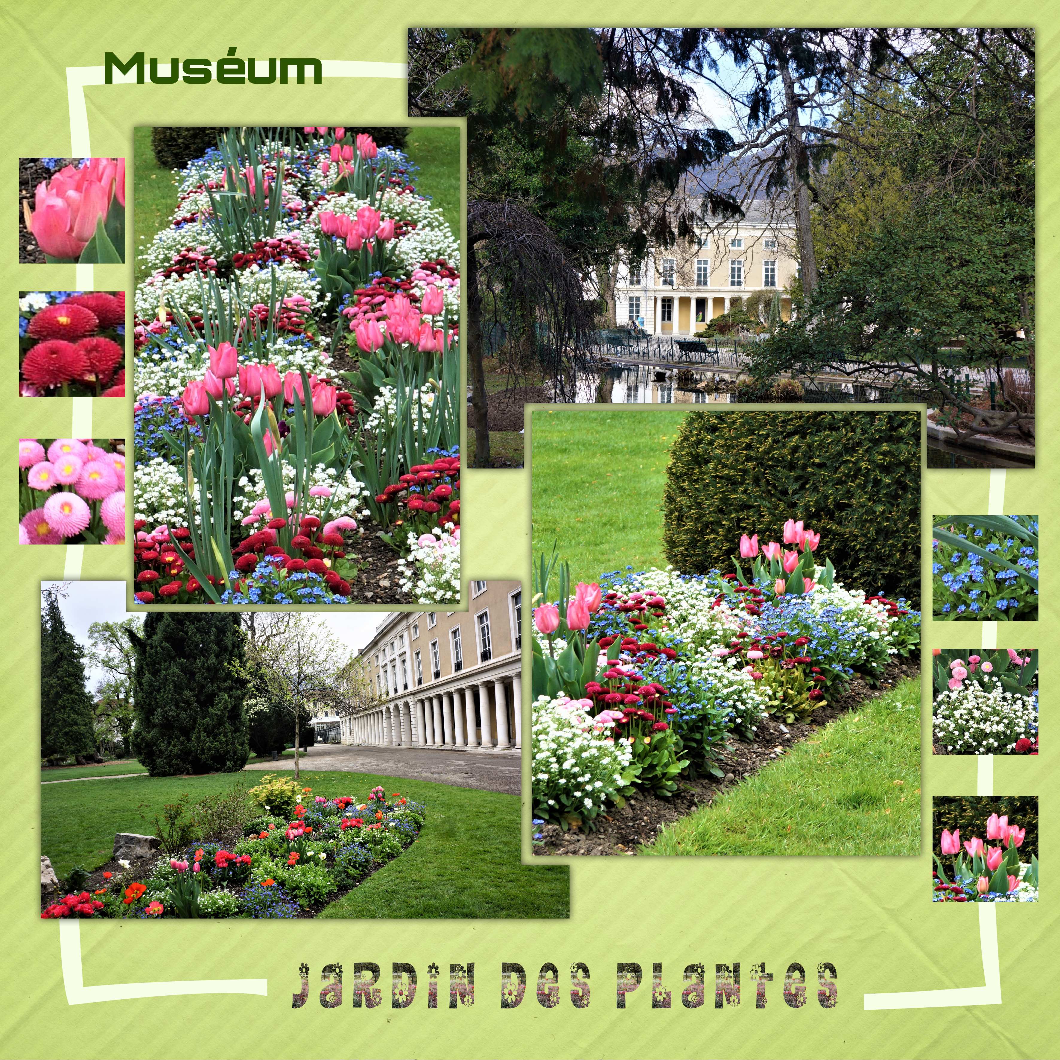 Jardin des plantes 13 04 2023.jpg