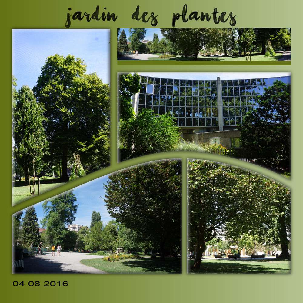 Jardin des plantes