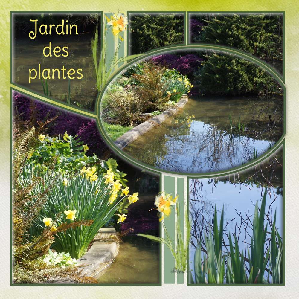 Jardin des plantes