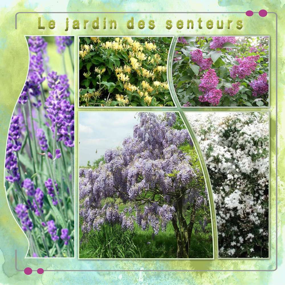 Jardin des senteurs