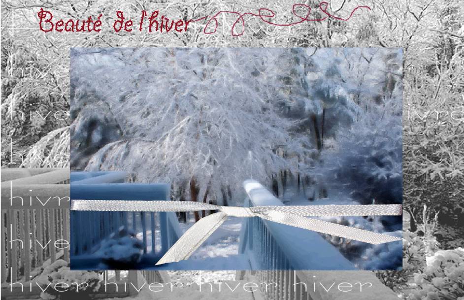 Jardin d'hiver