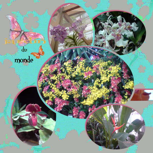 jardin du monde