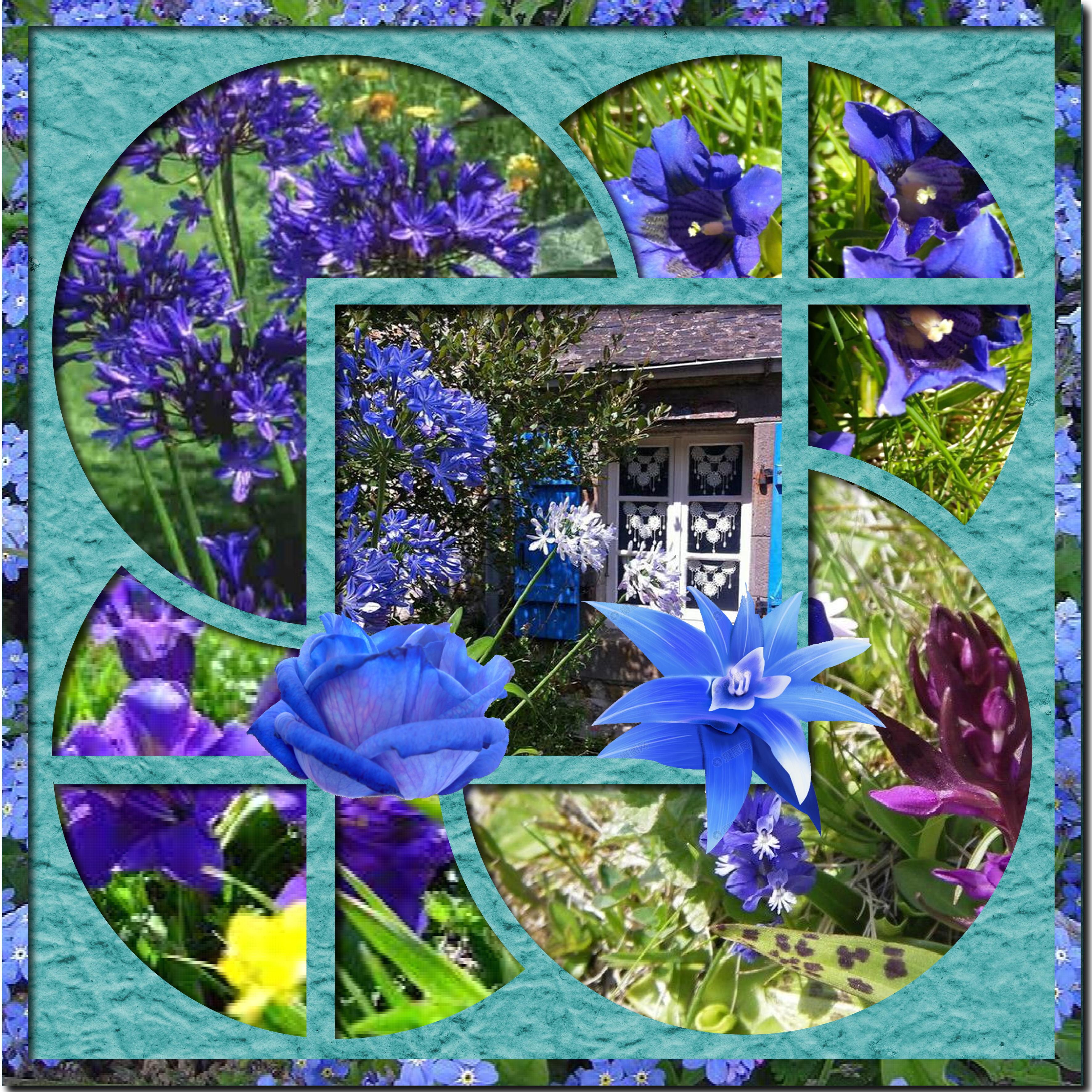 jardin en bleu.jpg