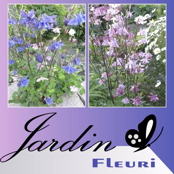 JARDIN FLEURI