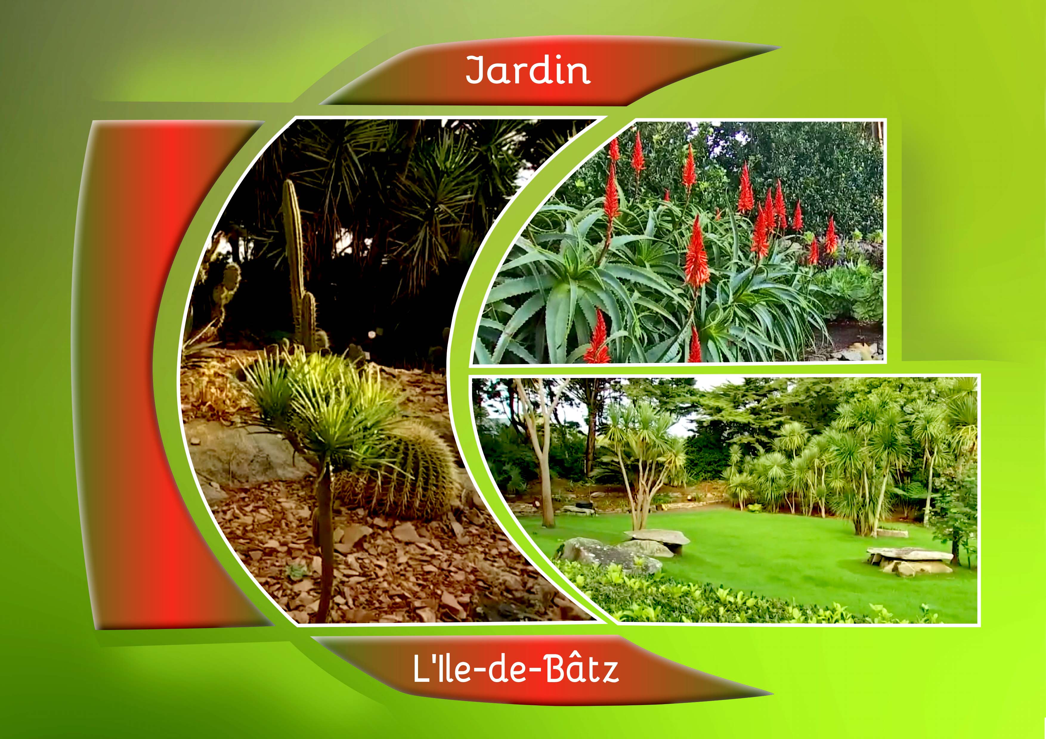 JARDIN.jpg