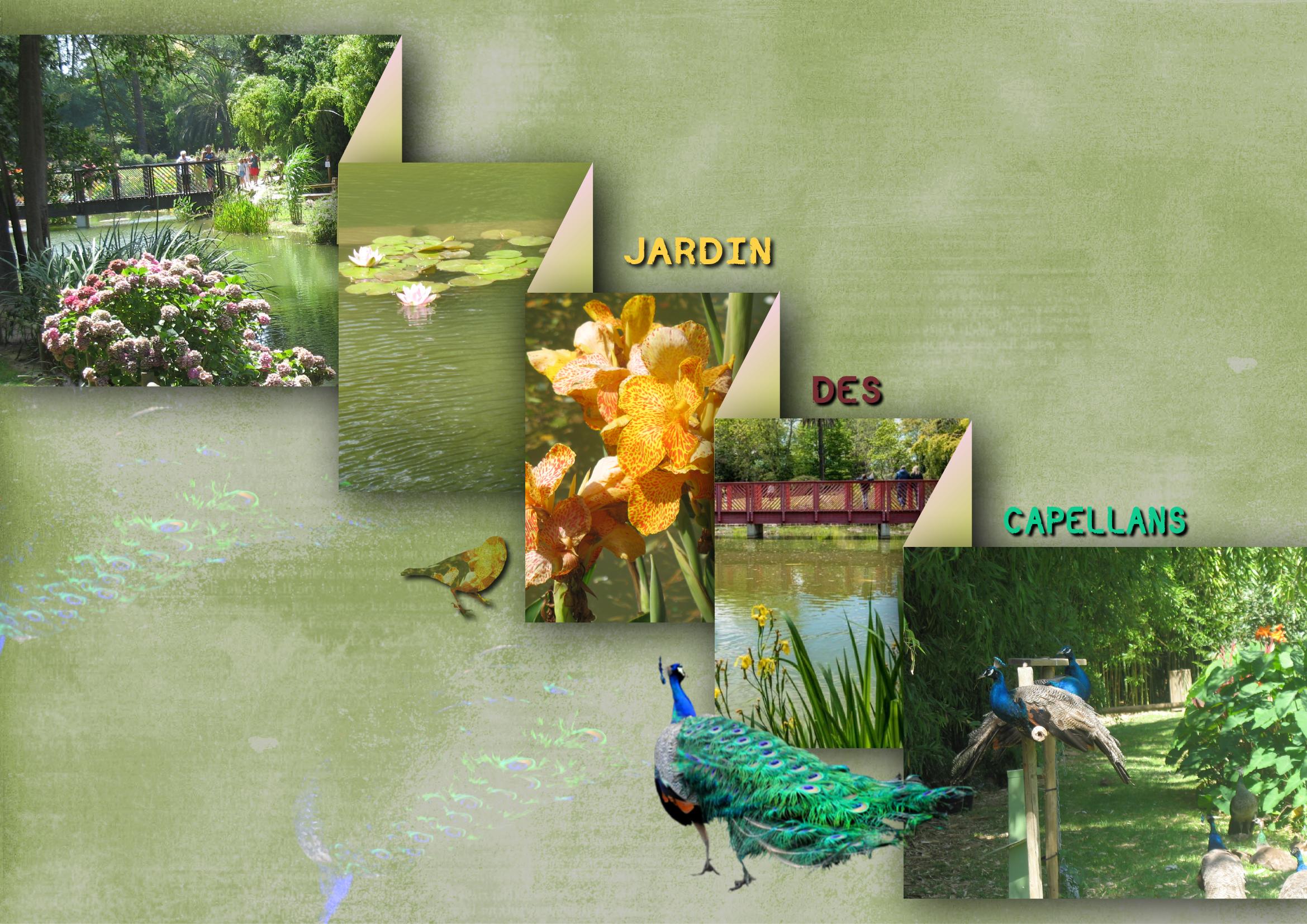 Jardin St Cyprien.jpg