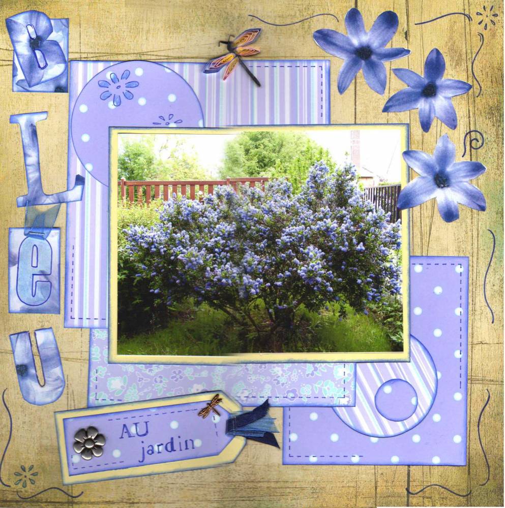 jardin_bleu_05_06