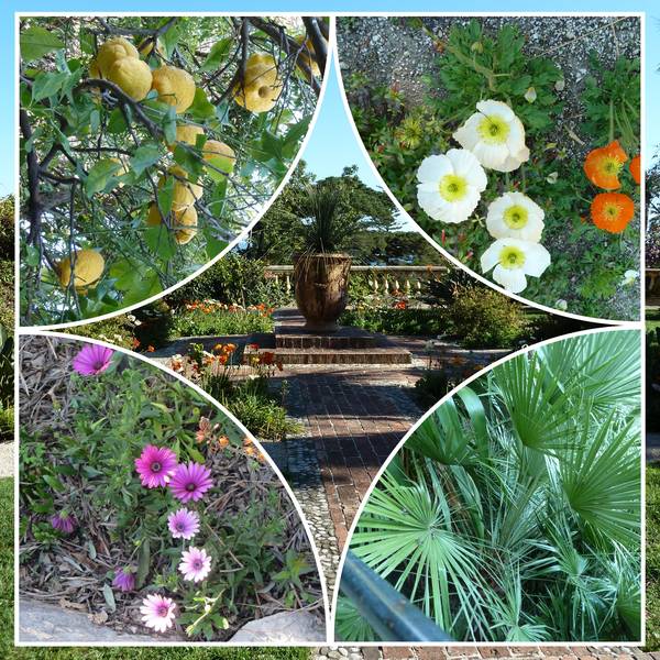 jardin_botanique_de_Menton_2