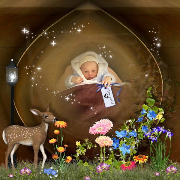 Jardin_Enchant___de_Louise