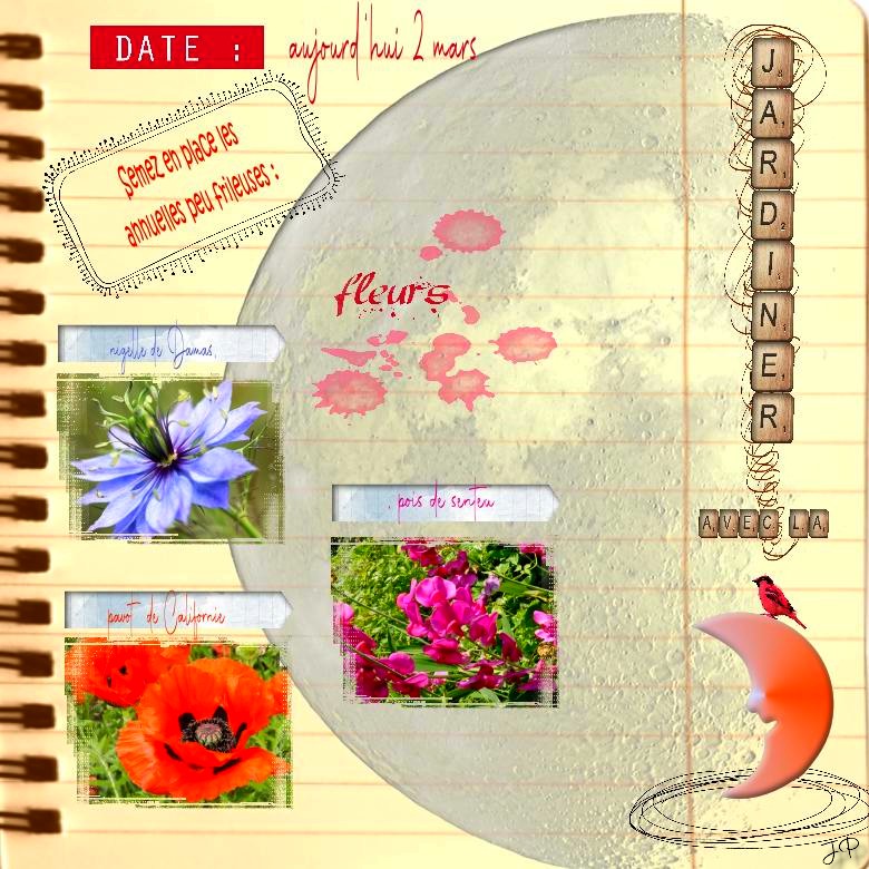 jardiner avec la lune .jpg