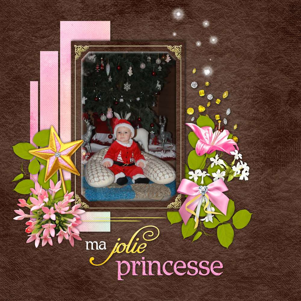 jdauchy-ma-jolie-princesse