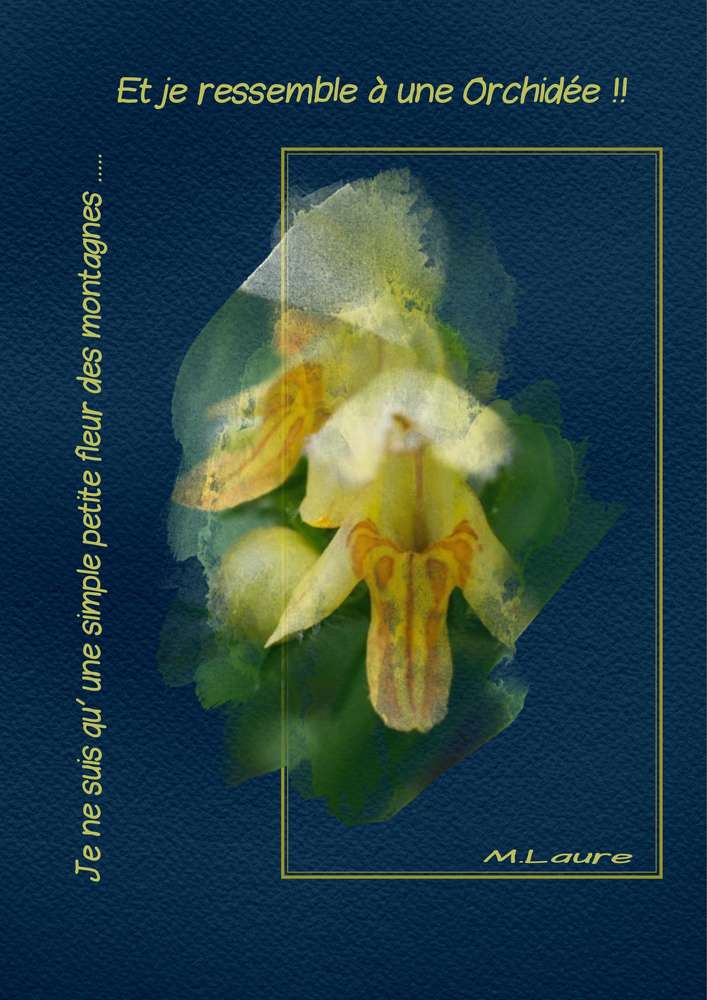 Je fais illusion ......