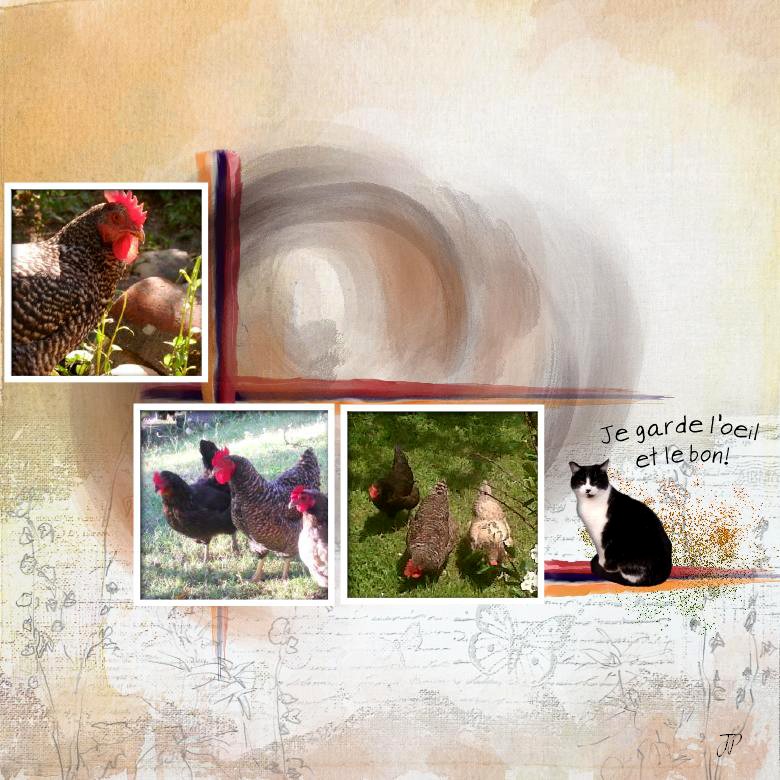 je garde l'oeil.jpg