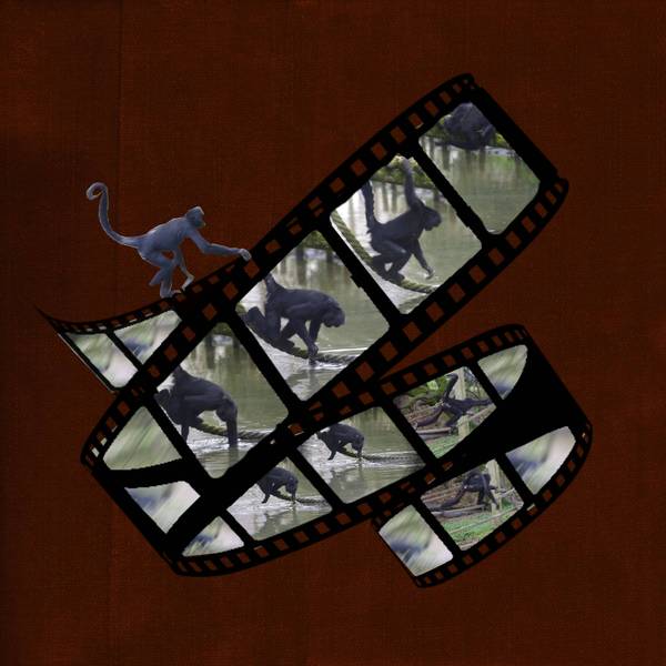 je me fais du cinéma