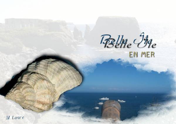 Je rêve de vacances à la mer .....