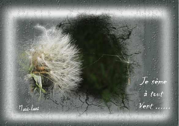 Je sème à tout vent ......