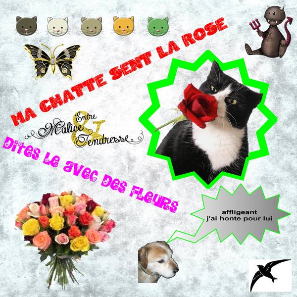 je sens que je vais me faire lyncher...