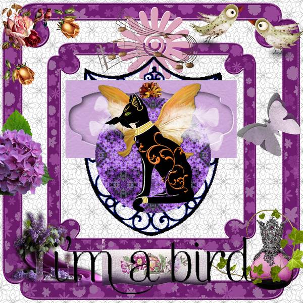 Je suis un oiseau ! LOL  -  Pour Max