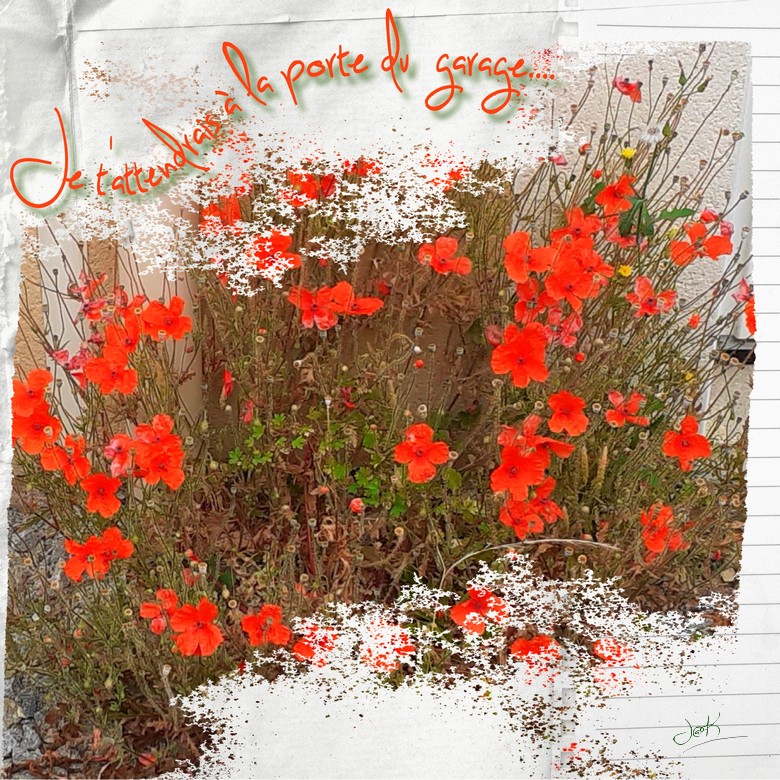 je t'attendraisà la porte du garage .jpg