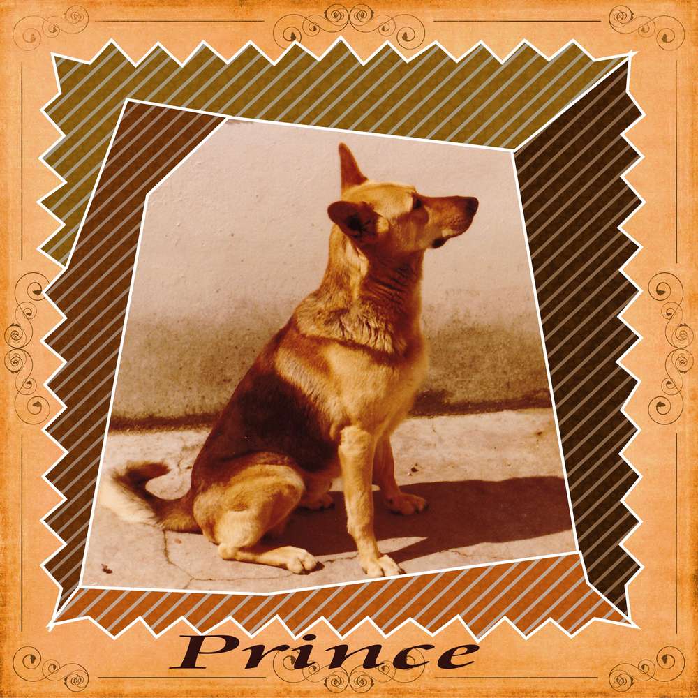 je vous présente price