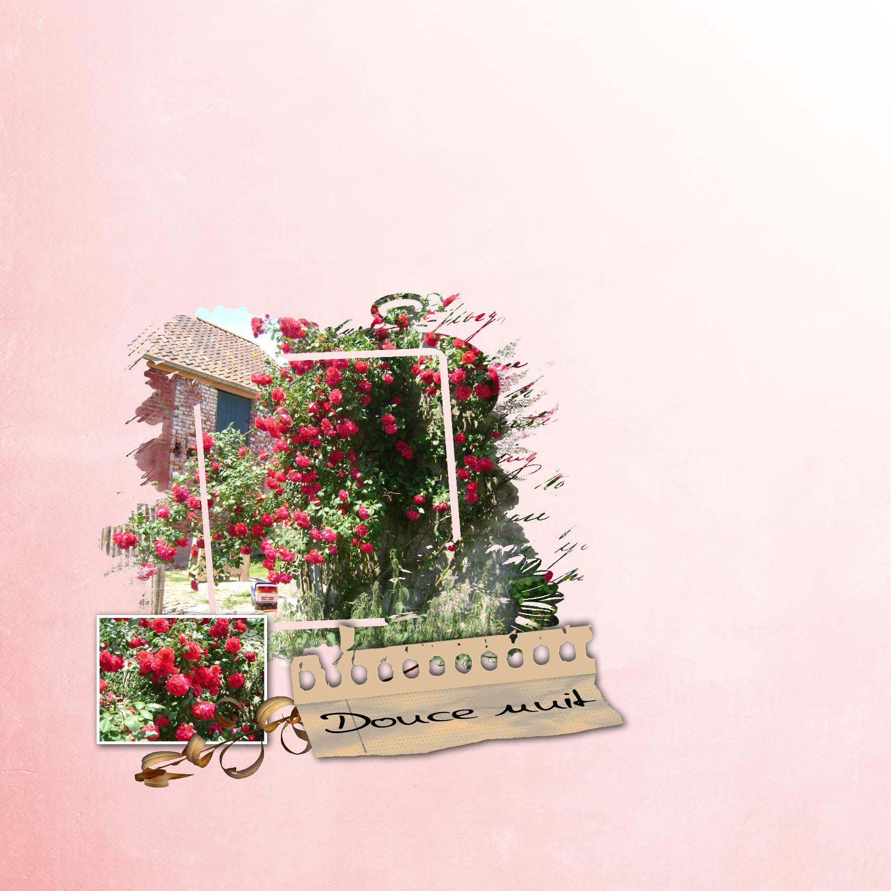 Je vous souhaite une bonne nuit