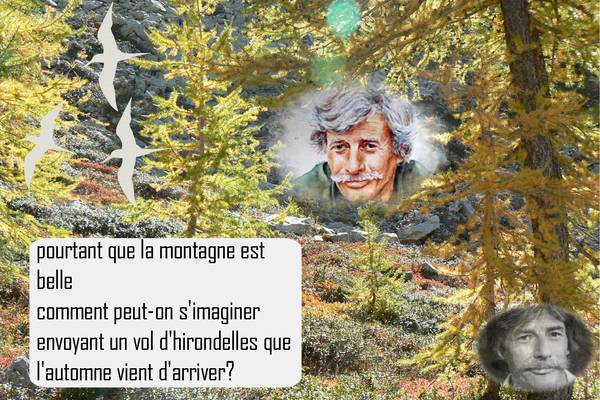 Jean Ferrat ..............              défi Petiot