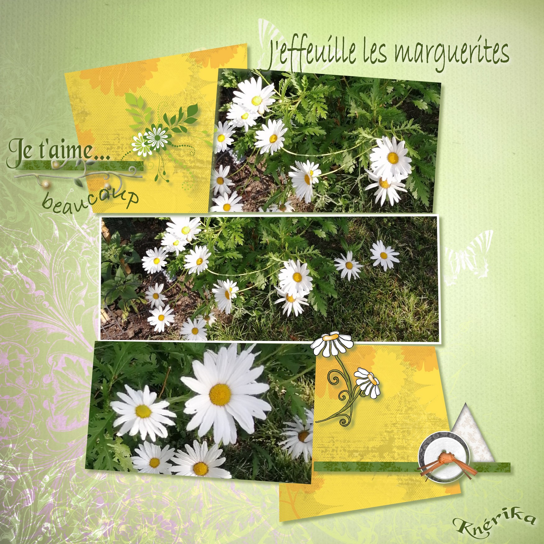 j'effeuille les marguerites_Anne Marie.jpg