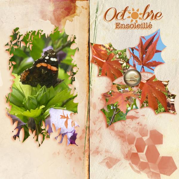 jeu challenge de Max