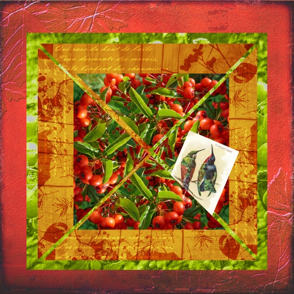 Jeu de Max Pyracantha