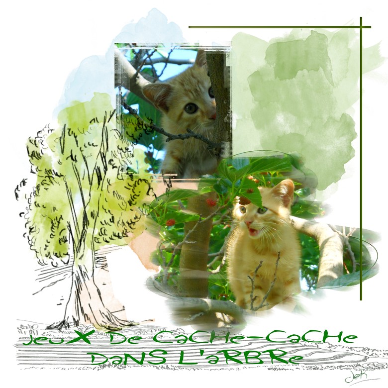 jeux cache cache dans l'arbre 05-08-21.jpg