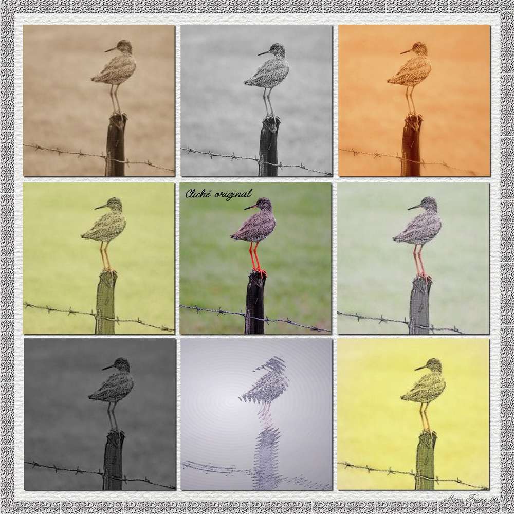 JEUX MAX DU 5 FEVRIER 2018