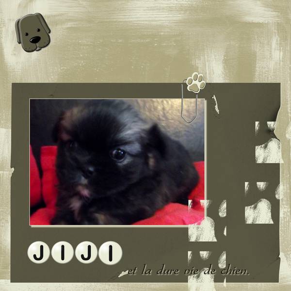 Jiji