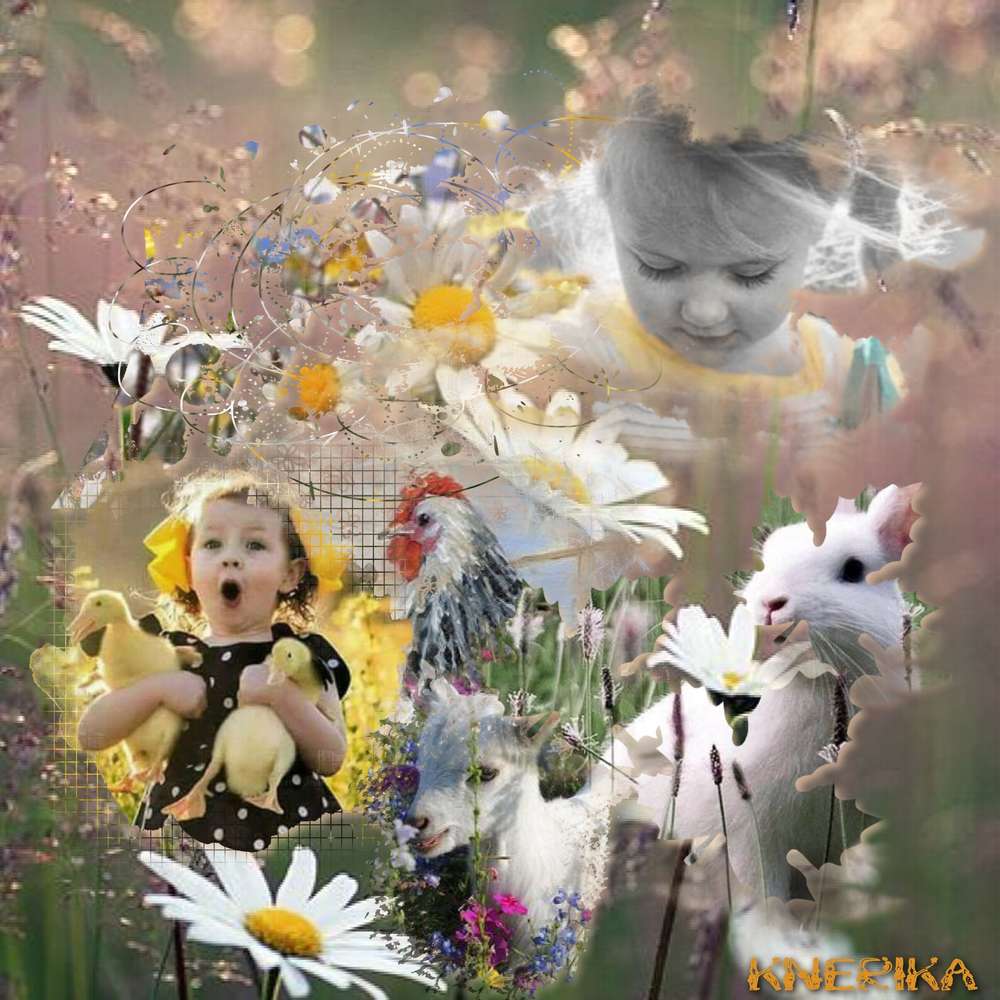 joie_printani__re_du_07-04-19_OK__1_