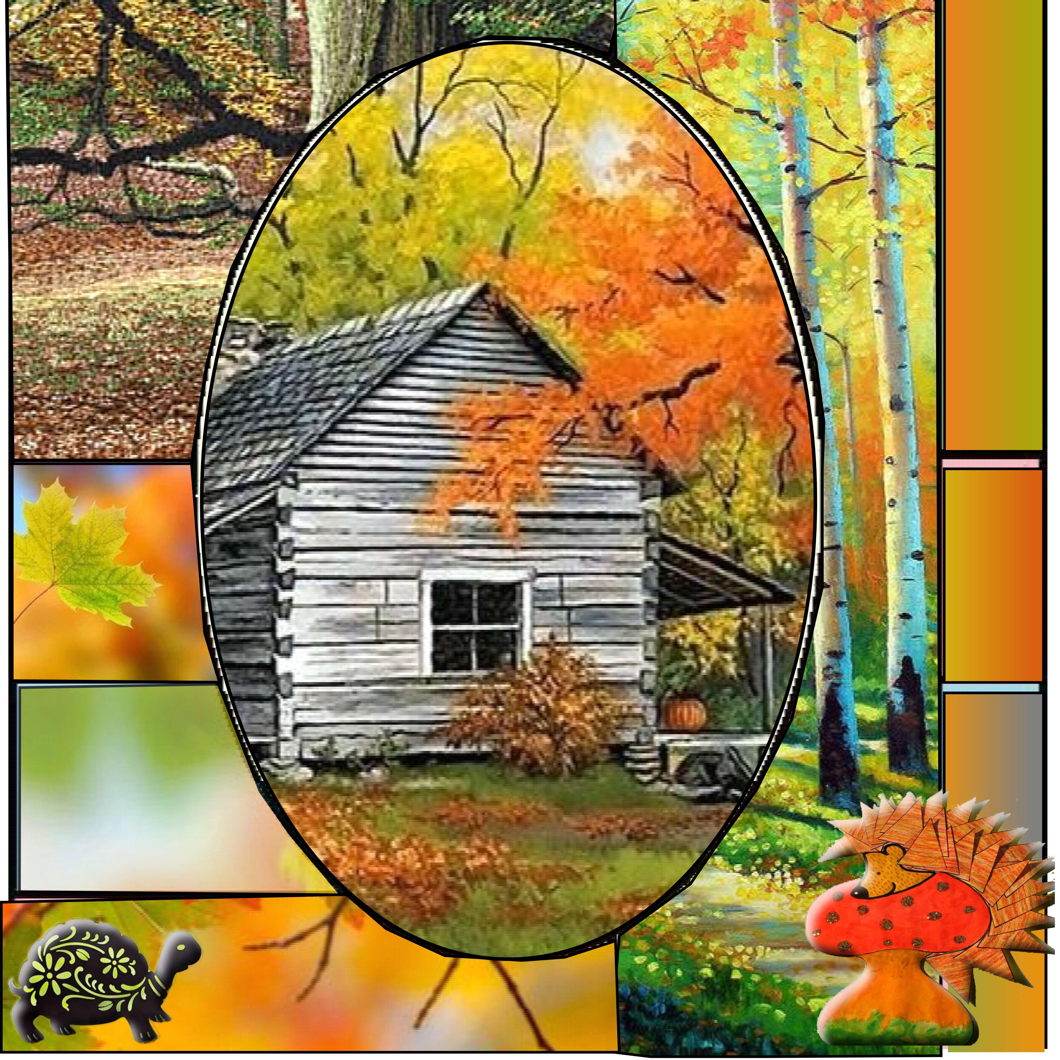 jolies couleurs d automne.jpg