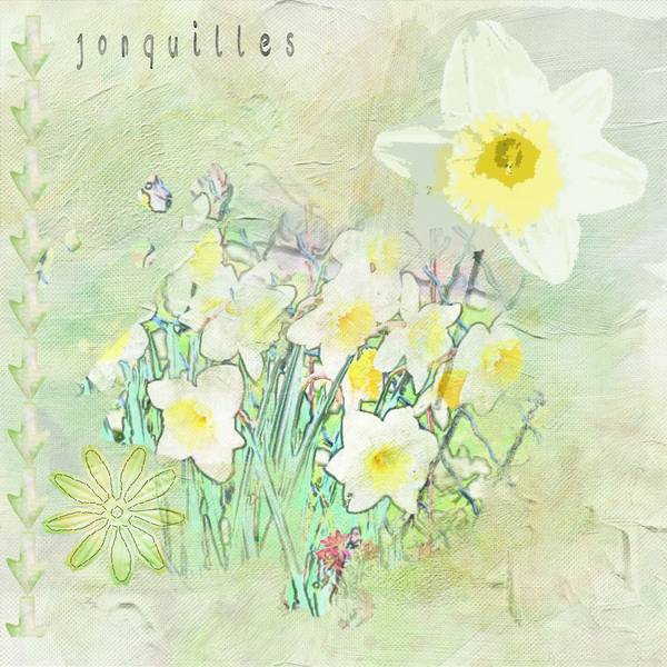 Jonquilles